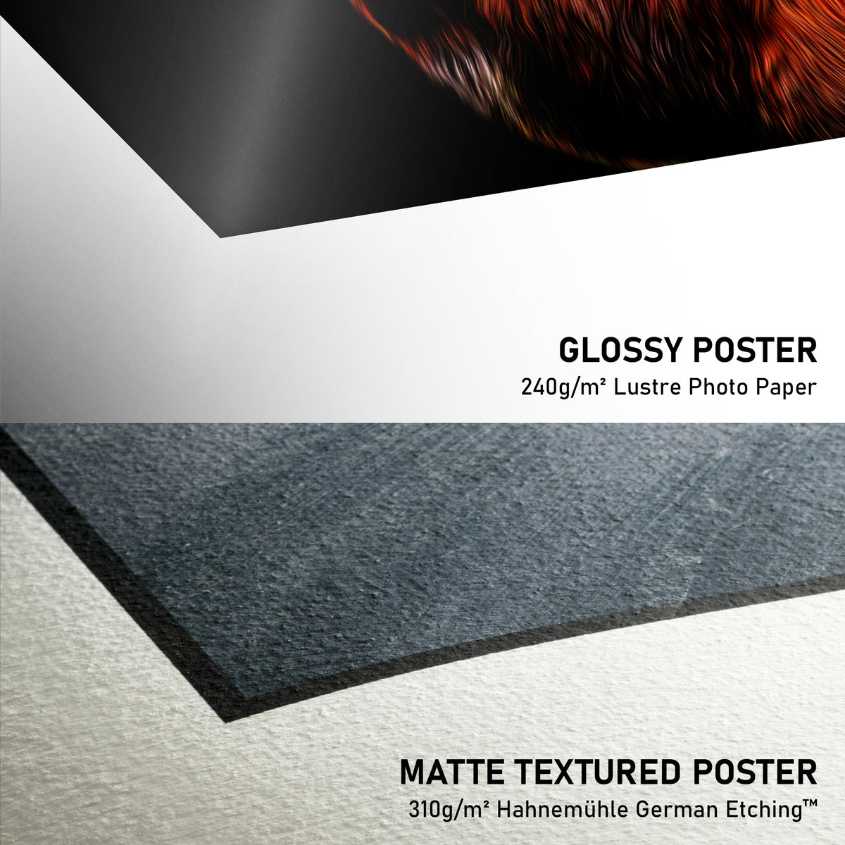 Glossy Poster > Matte Textured Poster Illustratedtracks