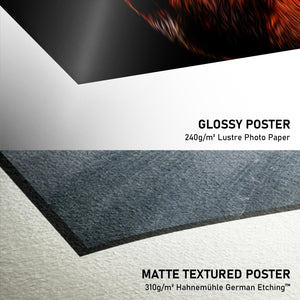 Glossy Poster -> Matte Textured Poster