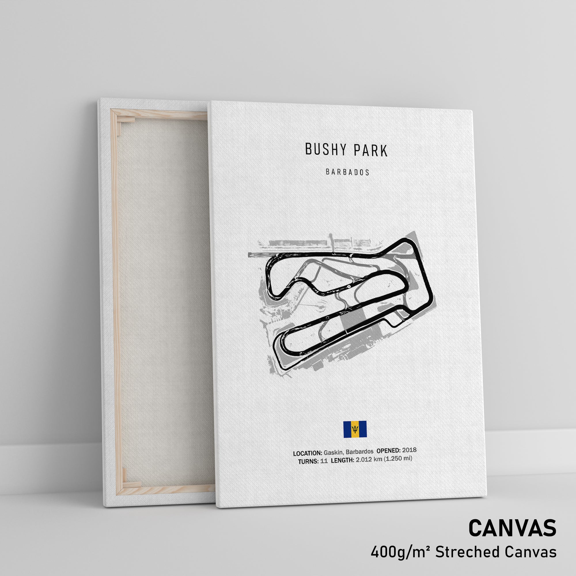 Bushy Park - Racetrack Canvas Print