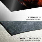 Load image into Gallery viewer, Ducati Desmosedici GP12, Valentino Rossi 2012 - MotoGP Print
