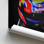 Load image into Gallery viewer, Mark Webber, Red Bull 2013 - Formula 1 Print
